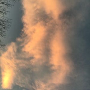 Meet your Posher, Virginia